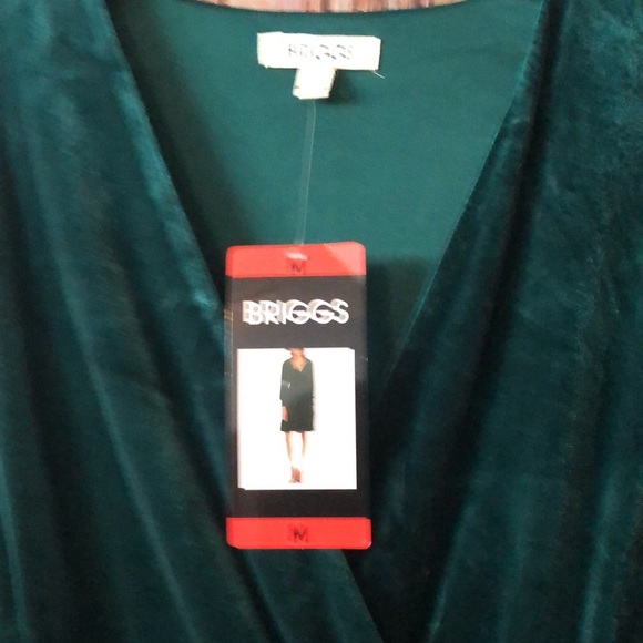 Briggs NWT Long Sleeve Velvet Dress - Picture 5 of 14